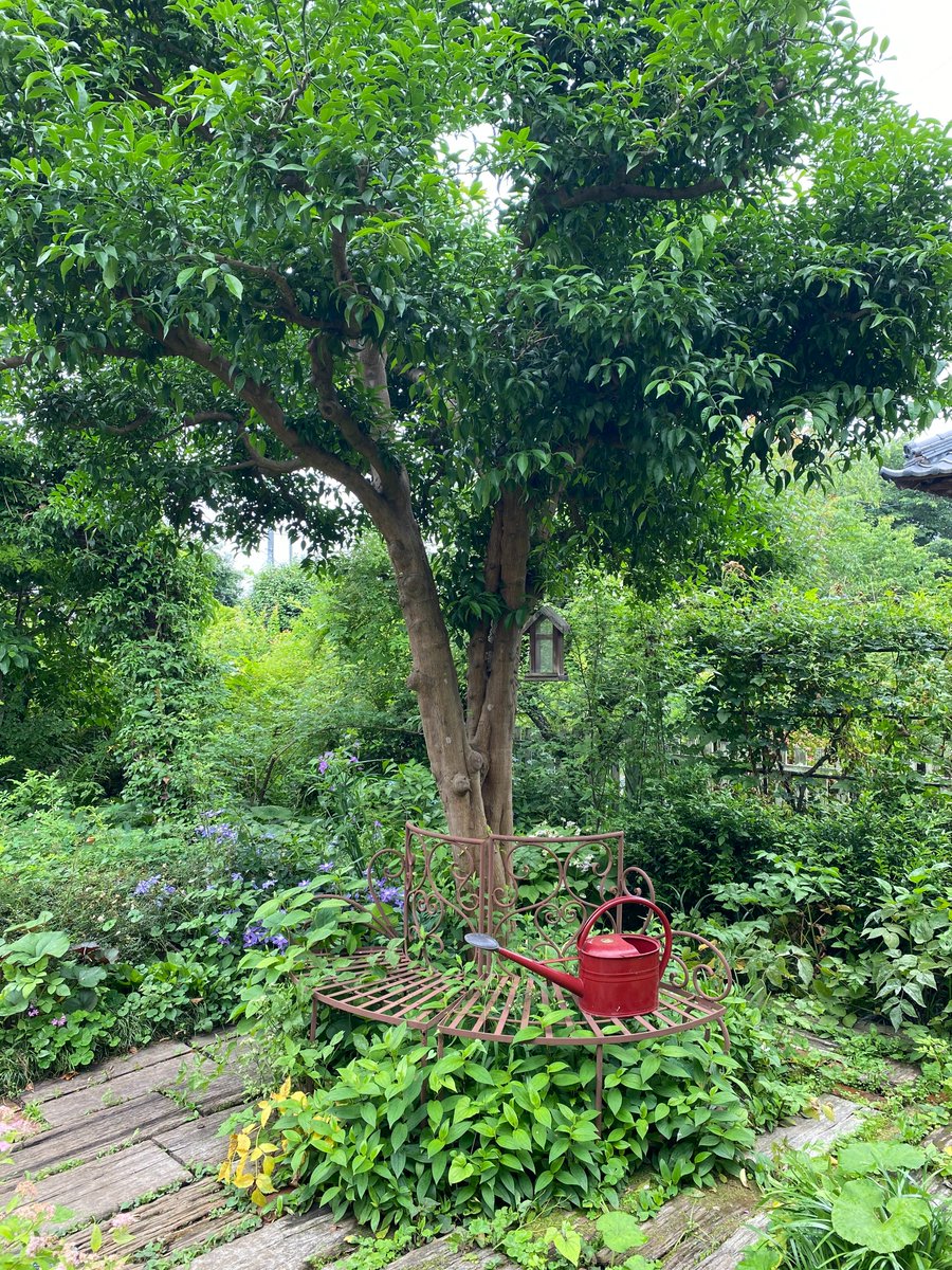 好きな風景。 
自然がある中、静かにある椅子🌿③

椅子の上に、じょうろがあるのはここだけ。じょうろは、庭の手入れに必要な小道具。この椅子は、庭師さんが日常的に使っている椅子なのかもしれない。そう思った。