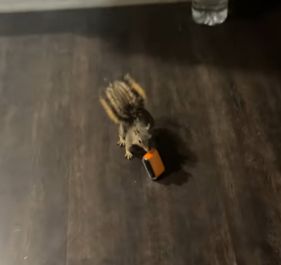 straight chuffin that shit vro