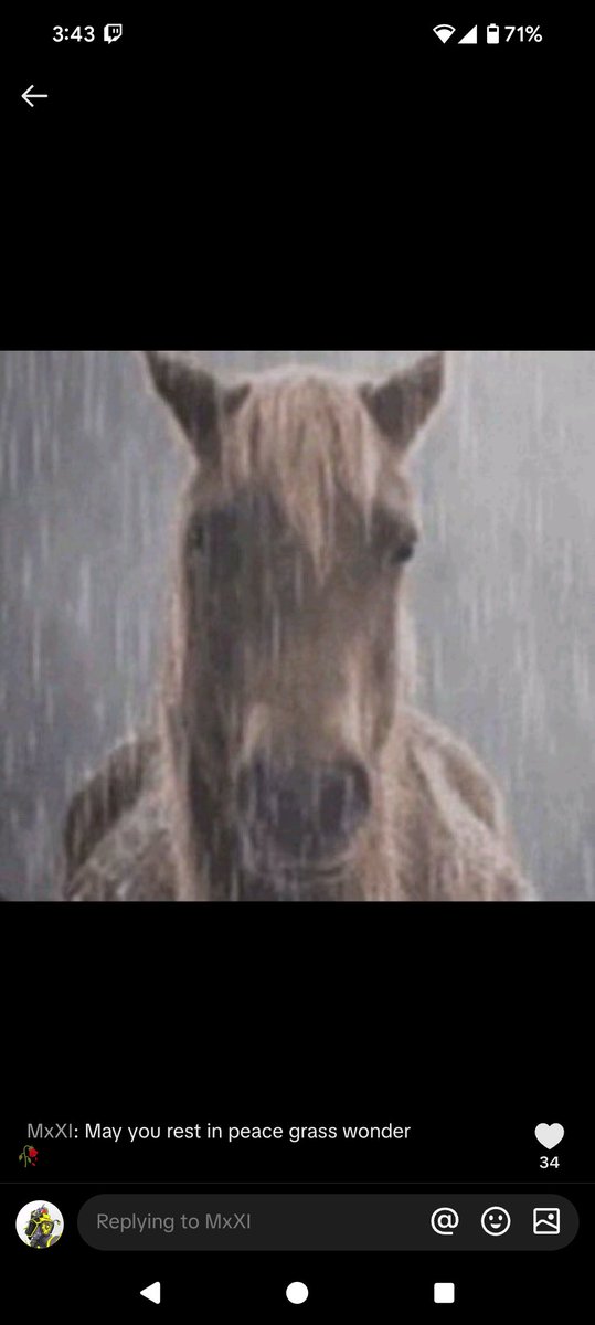 🔴☀️Today we play uma and make the the best Grass Wonder (RIP)

twitch.tv/sol_vtuber