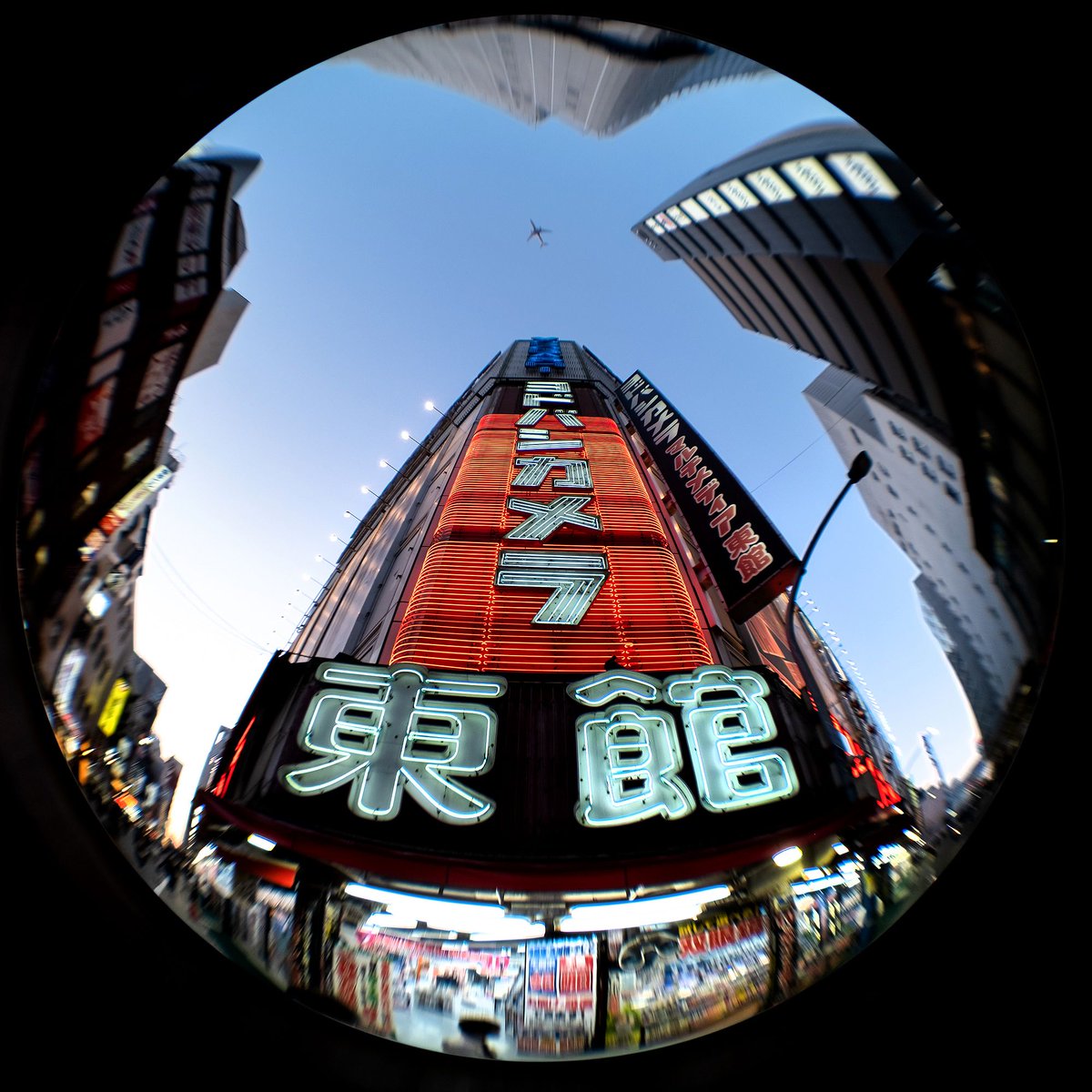 Lewis Bush tweet media