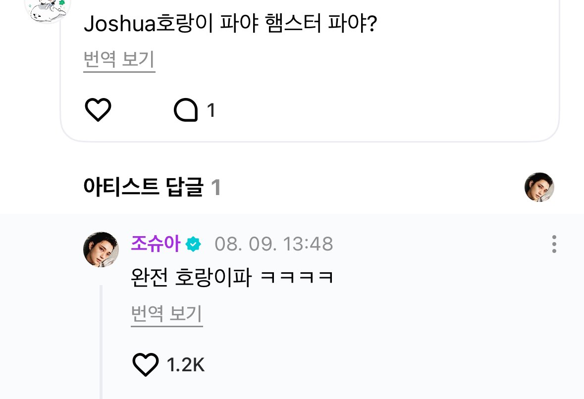 💎: Joshua, [are you] team tiger or team hamster?
🦌: totally team tiger ㅋㅋㅋㅋ

TIGER FAM 🥹😭