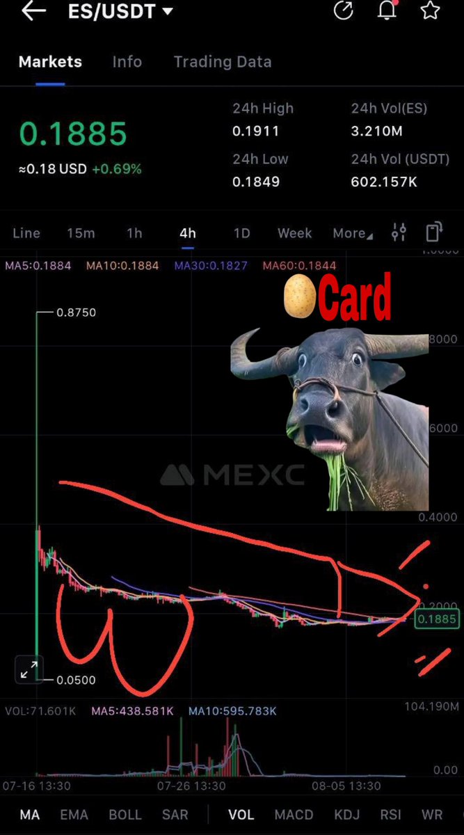 JohnSmithoffi's tweet photo. @EclipseFND @Alucard_eth 🥔 https://t.co/lILf3FBIMN