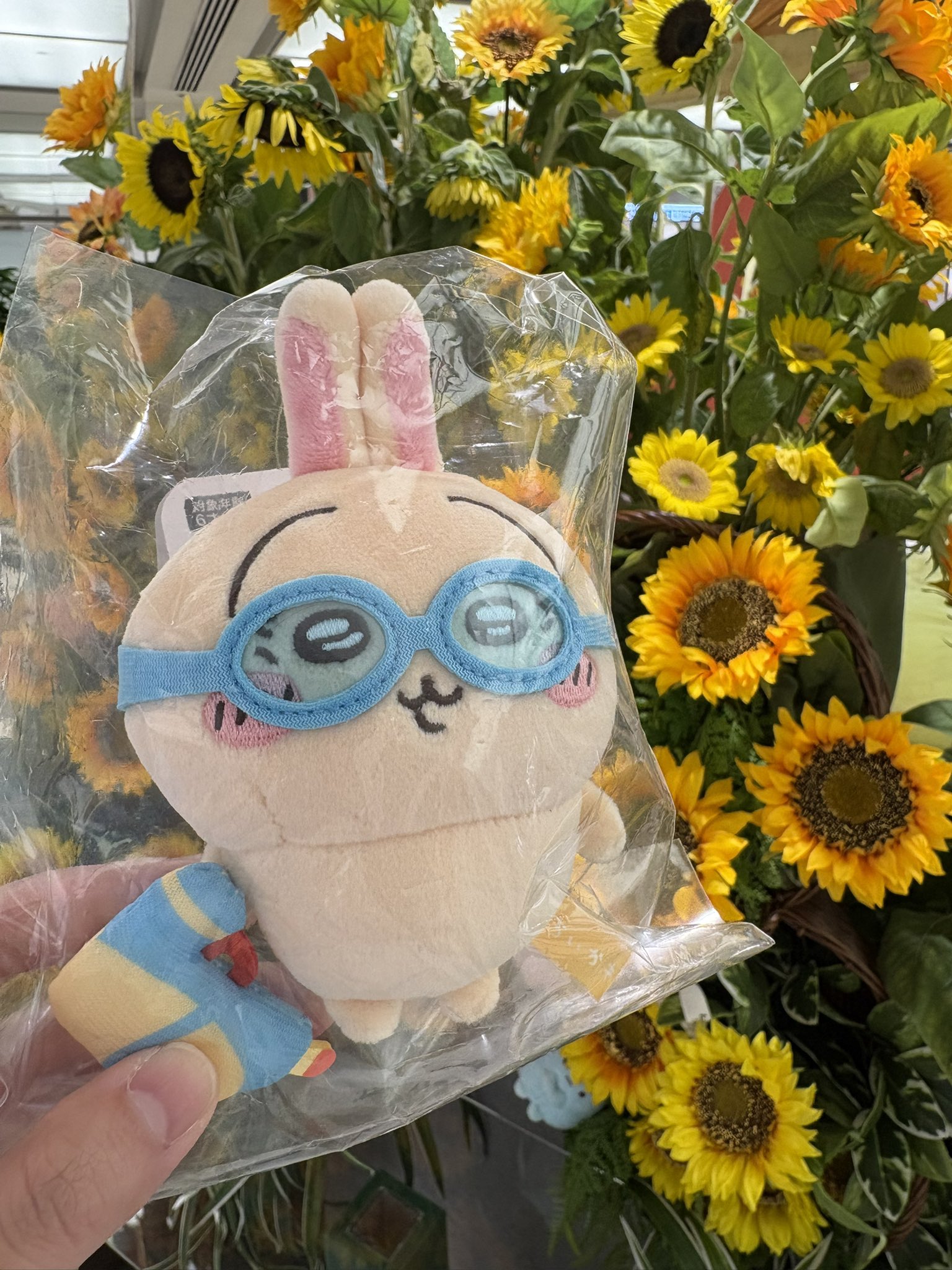 夏色うさぎ 楽天市場】ドイツ SENGER ゼンガー ぬいぐるみ うさぎ
