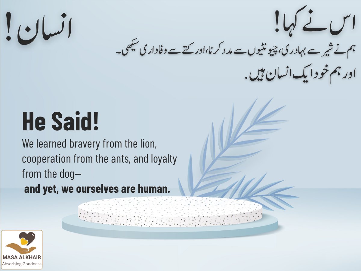 MasaAlkhair25's tweet image. #HeSaid
#LessonsFromNature
#BraveryFromTheLion
#CooperationFromAnts
#LoyaltyFromDogs
#WeAreHuman
#NatureTeaches
#WisdomOfLife
#LearnFromAnimals
#HumanReflections
#LifeLessons
#DeepWisdom
#InspirationFromNature
#StayHuman
#ValuesOfLife