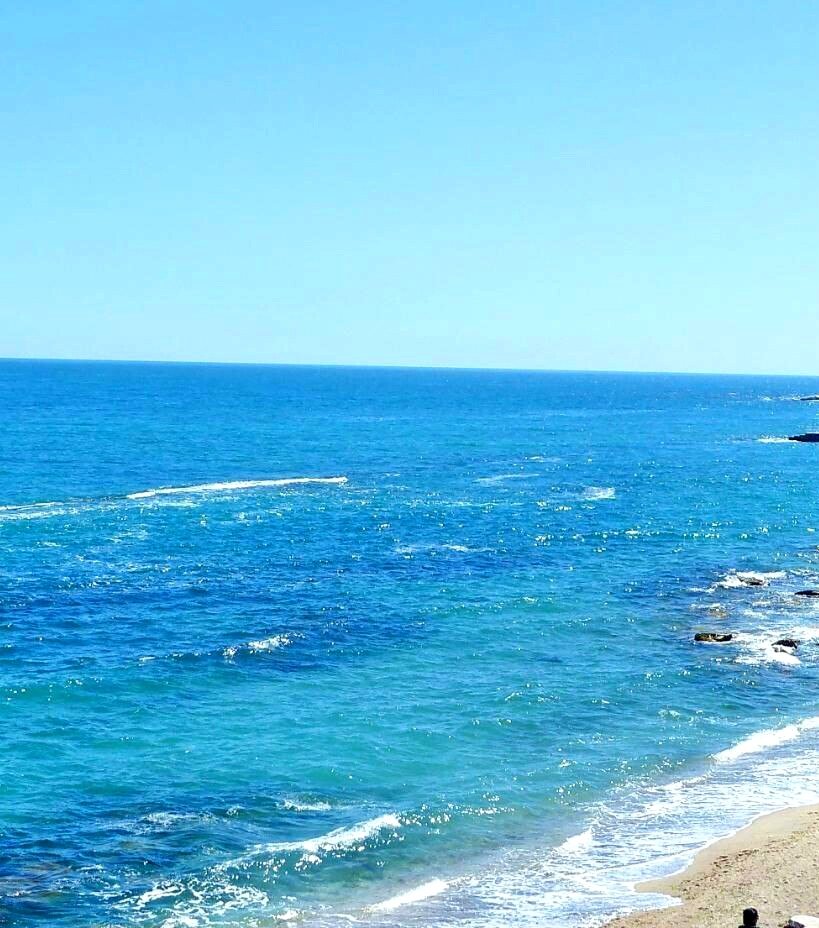 Катерина Галич tweet media