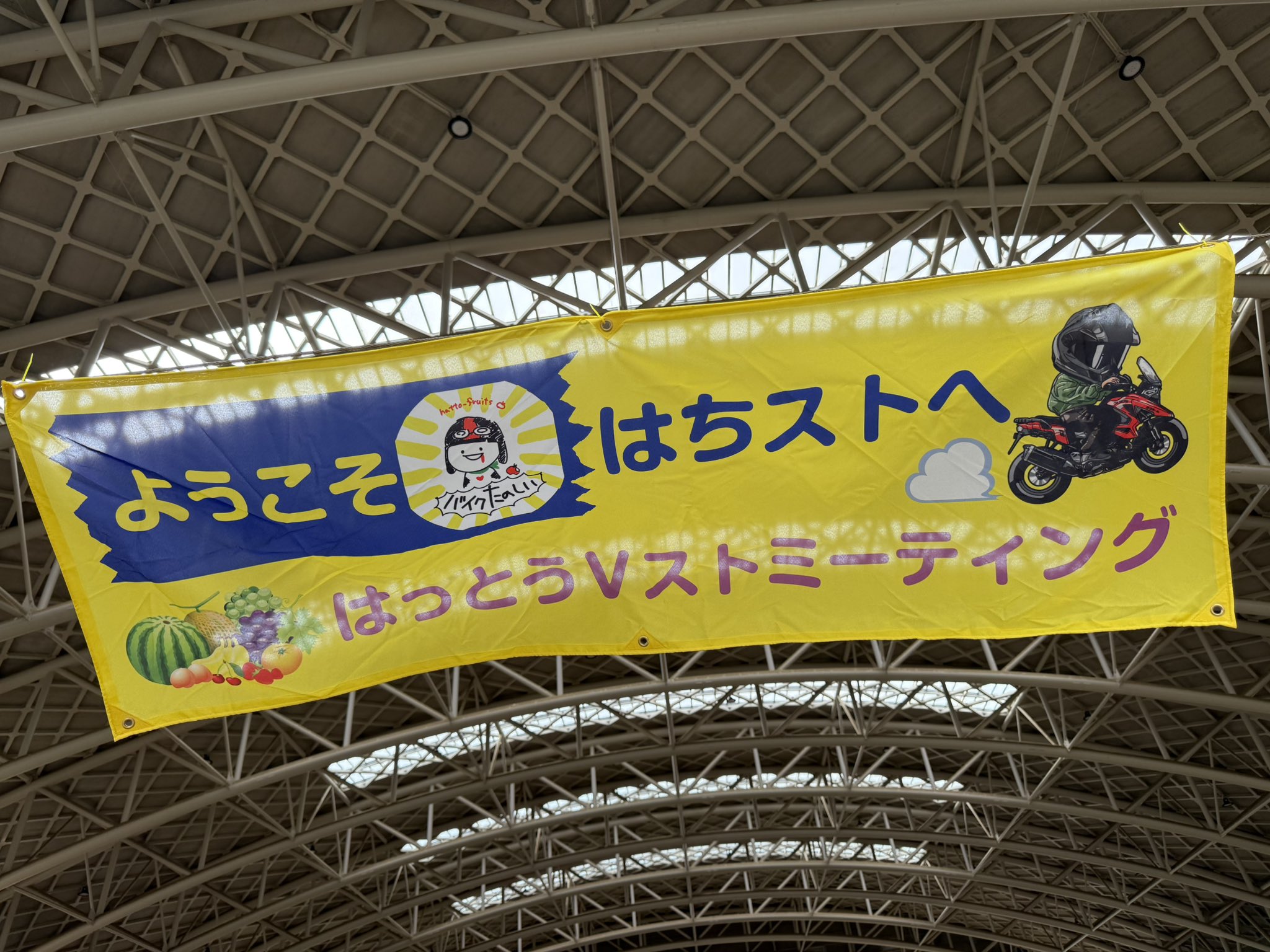 megu⑅﻿ページ megu (@v_stromegu) / X