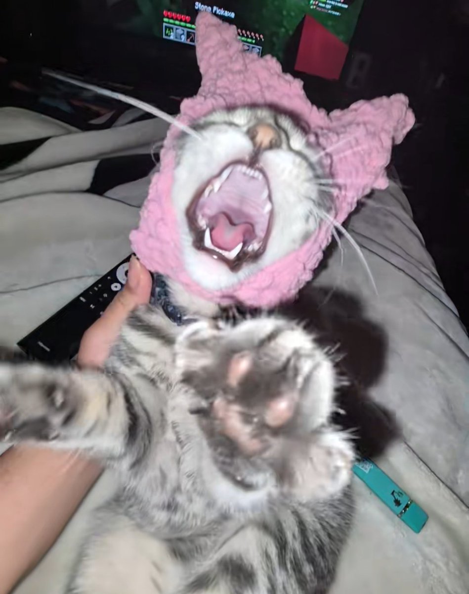 Fingering my pre workout yogurt because I forgot my mf spoon