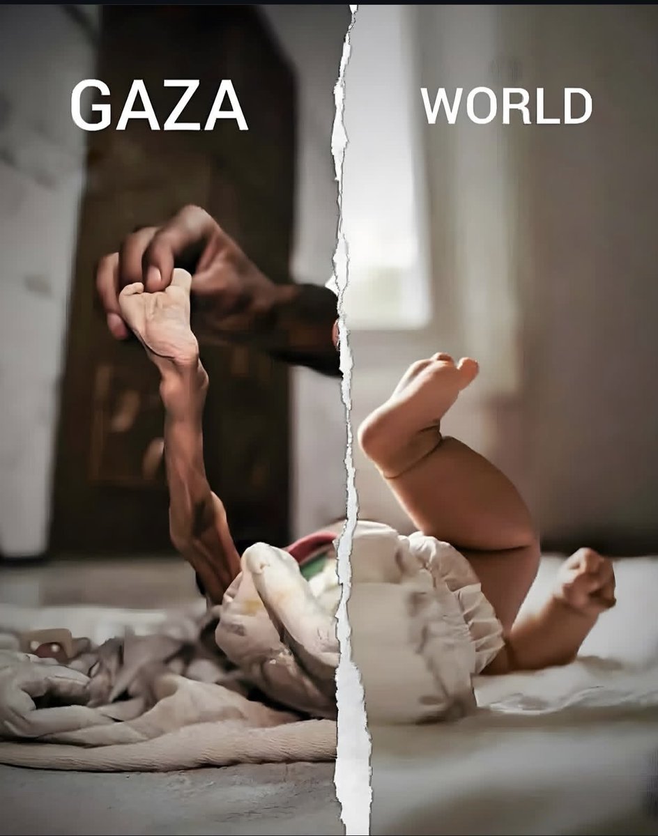2 million are trapped and starved in Gaza. Half a million people are on the brink of famine.

chuffed.org/project/115463…