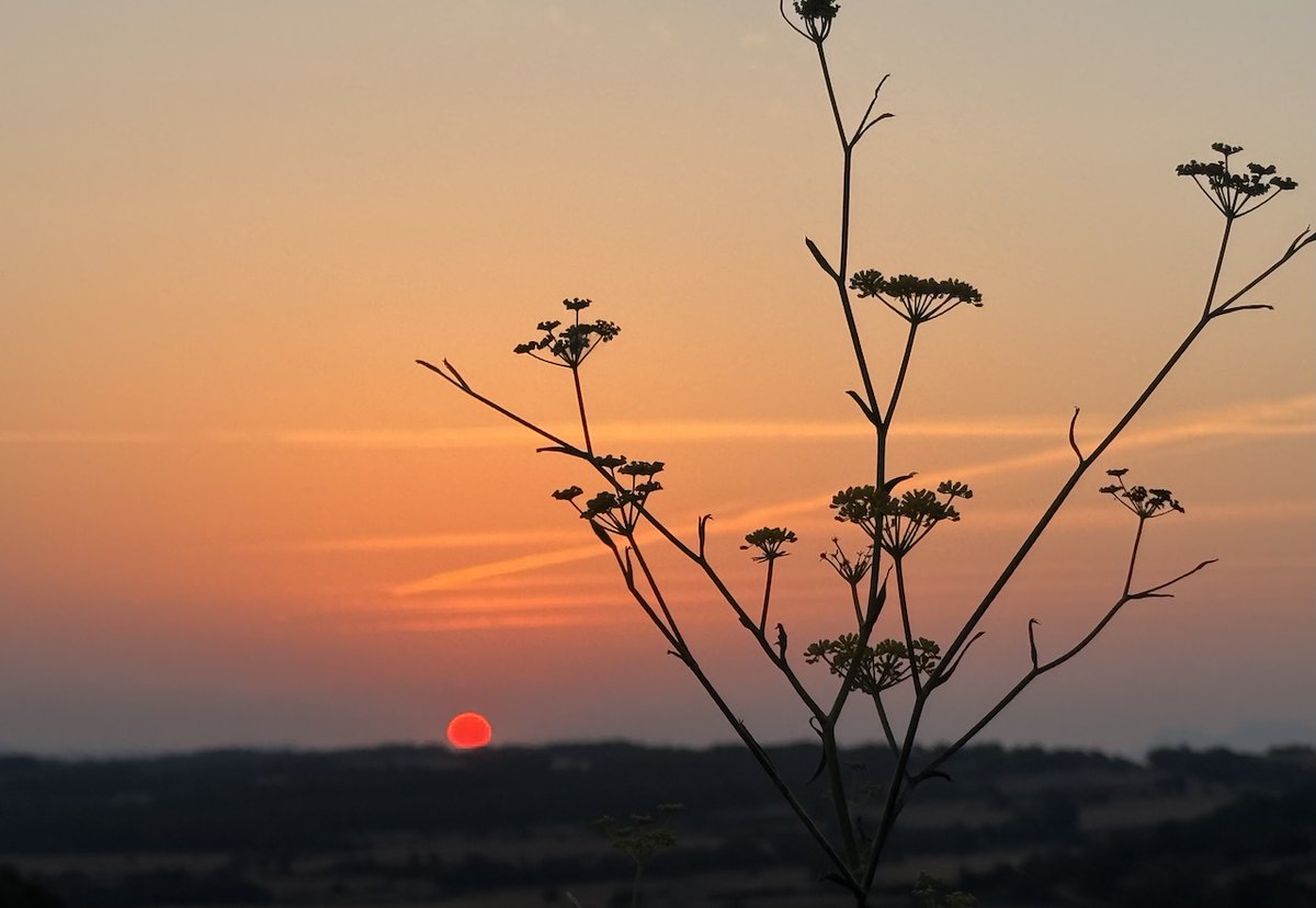 tribusdelasegarra.cat/2025/08/09/bon…
Bon dia
Santa Coloma de Queralt
Baixa Segarra
#segarrejant #goodmorning #Catalonia #magradaelmeupaís <a href="/finslagorra_1/">finslagorra ||*|| SÍ</a> <a href="/jolival65/">JOliva||*||</a> <a href="/montserumbau/">montserrat rumbau</a> @martapontnou <a href="/salvad_m/">RosamSal ||⭐|| 🏴󠁧󠁢󠁥󠁮󠁧󠁿#Jo soc CDR# *CxR*</a> <a href="/jordicodol/">Jordi Còdol Montagut</a> <a href="/betaltarriba/">Bet Altarriba</a> <a href="/mccorominas/">Carme Corominas</a> @xatoQuico <a href="/Ifarre2/">Imma</a> <a href="/CanelaBalsebre/">rosa canela</a> @mnadal13B