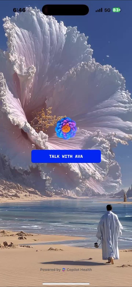 Chat with Ava