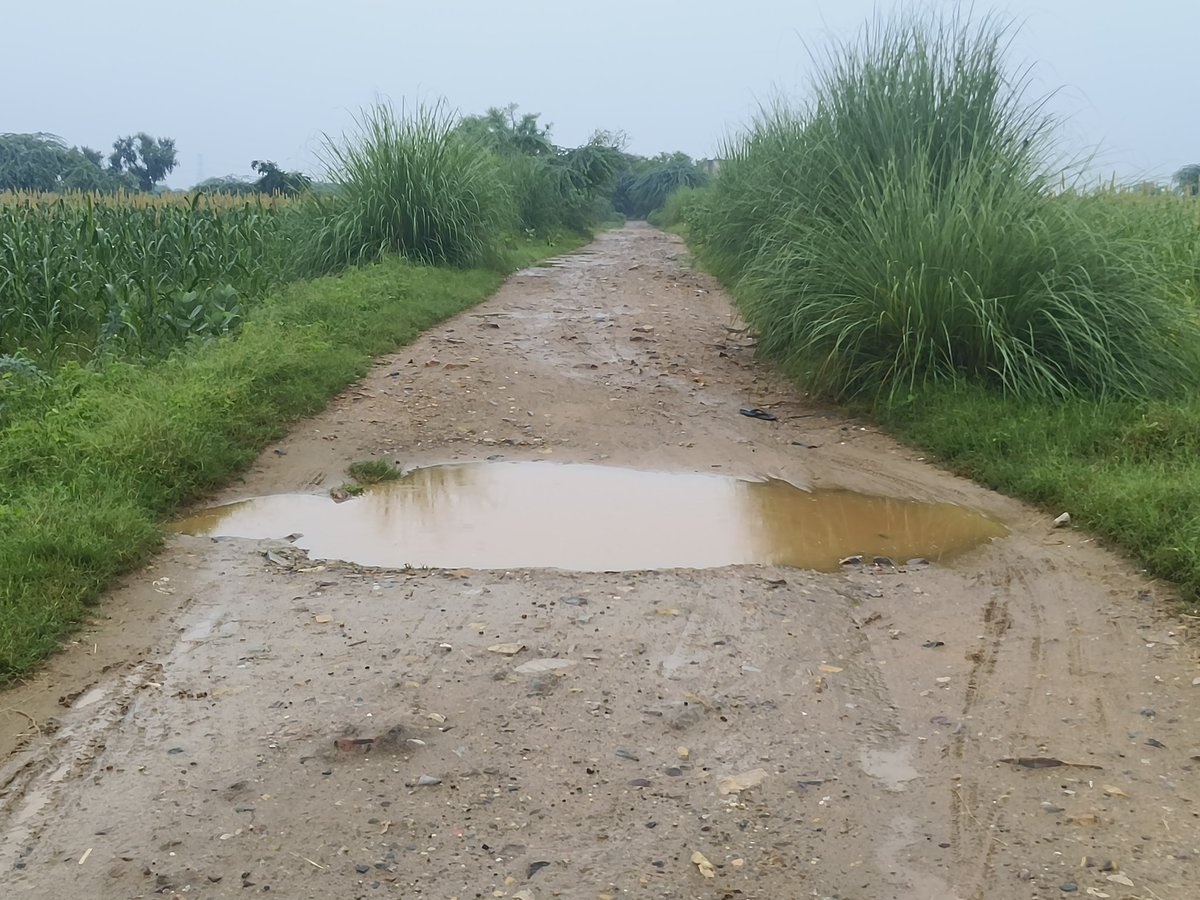 MadeenKhan14's tweet photo. माननीय मुख्यमंत्री श्री नायब सिंह सैनी हरियाणा आपसे तमाम ग्राम वासी खोरी पंचयात मल्हाका से गुजारिश करते है कि पिछले 20 सालों से इस रास्ते पर कोई कार्य नहीं हुआ है यह रास्ता खोरी से मल्हाका को जोड़ता है!

@cmohry
@PMOIndia 
@DiprHaryana 
@dcnuh1 
@PwdPwdPwdPwdPwd 
@RahulGandhi https://t.co/DCM7P5T3Au