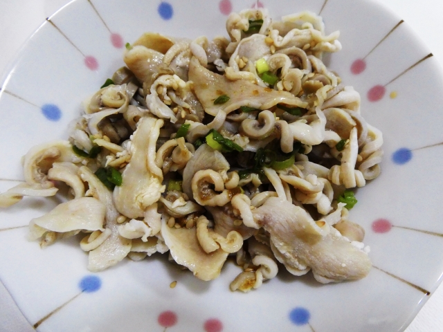 ミートプラスmeatplus_official tweet media