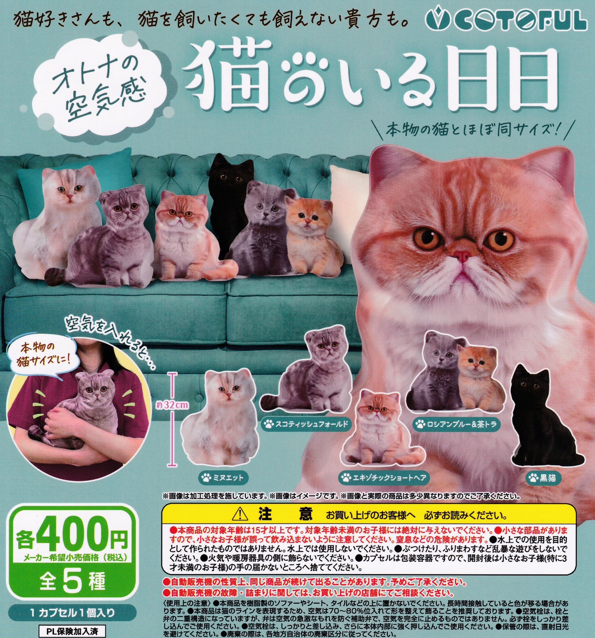 セボンスター　サークルねこ Amazon.co.jp: セボンスター☆猫モチーフセット : おもちゃ