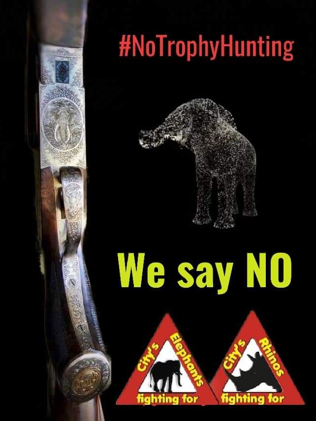 <a href="/FidelNyams/">Fidelicy Nyamukondiwa🇿🇼</a> #BanTrophyHunting worldwide