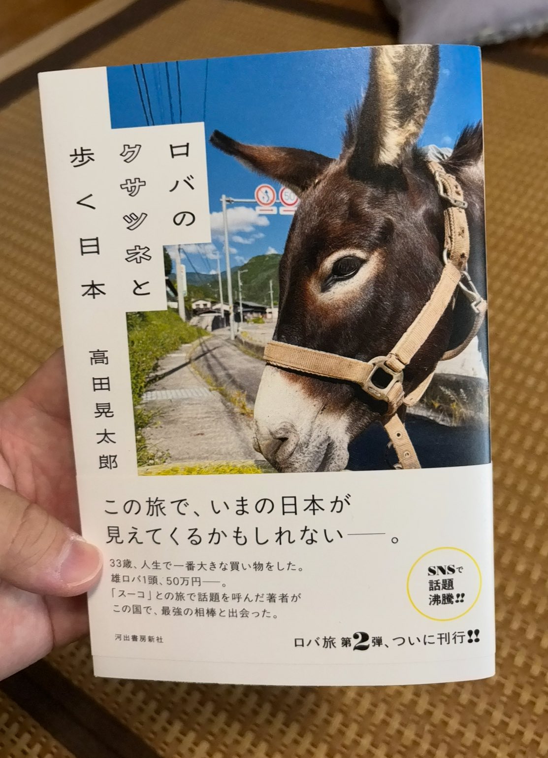 れおページです♥️ LEVI'S 551ZXX 60S 「実寸W29 L29.5」｜SAFARI サファリ｜高円寺