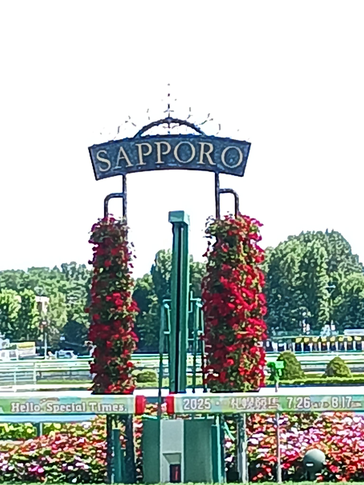 競馬パネル：ホクトベガ「1994年第30回札幌記念」 ※プレート付き 1994年 札幌記念（GⅢ） | ホクトベガ | JRA公式 - YouTube