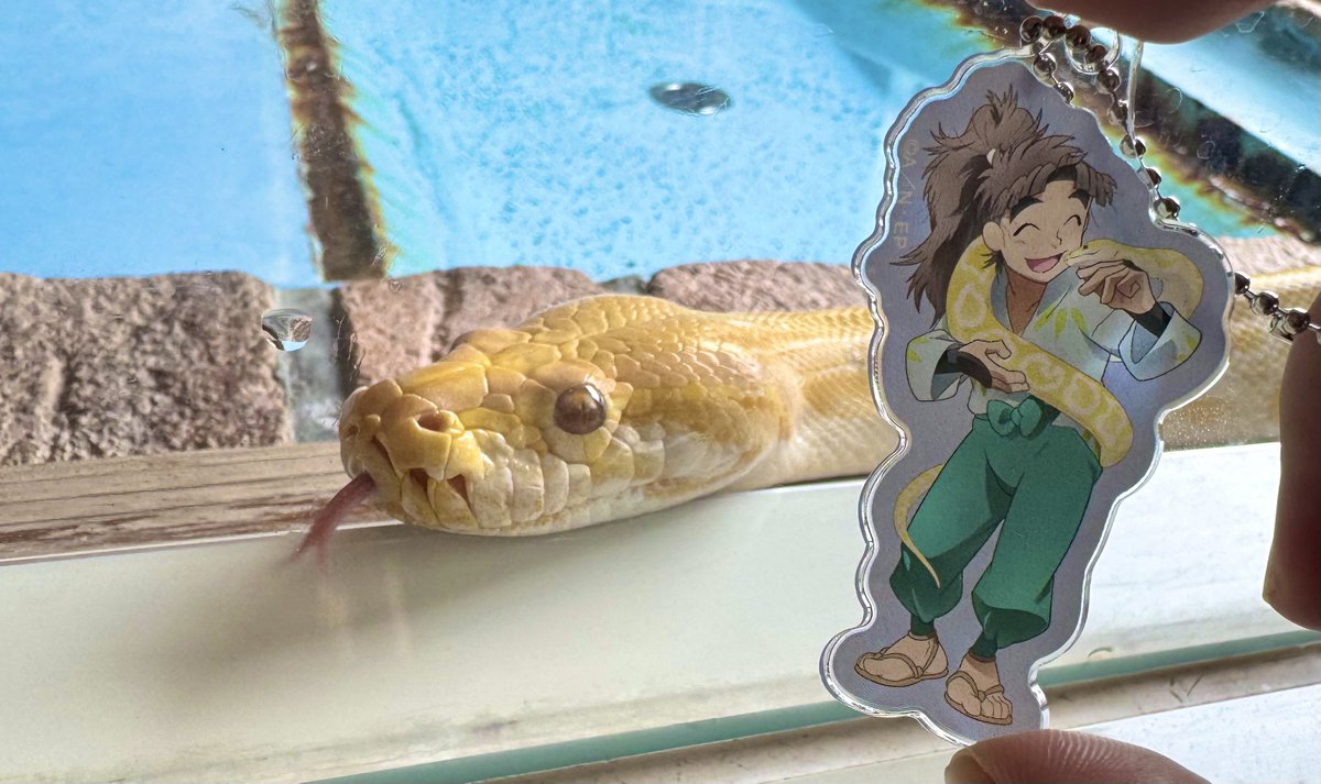 東武動物公園 #ビルマニシキヘビ #コウ #フク #忍たま乱太郎 #竹谷八左