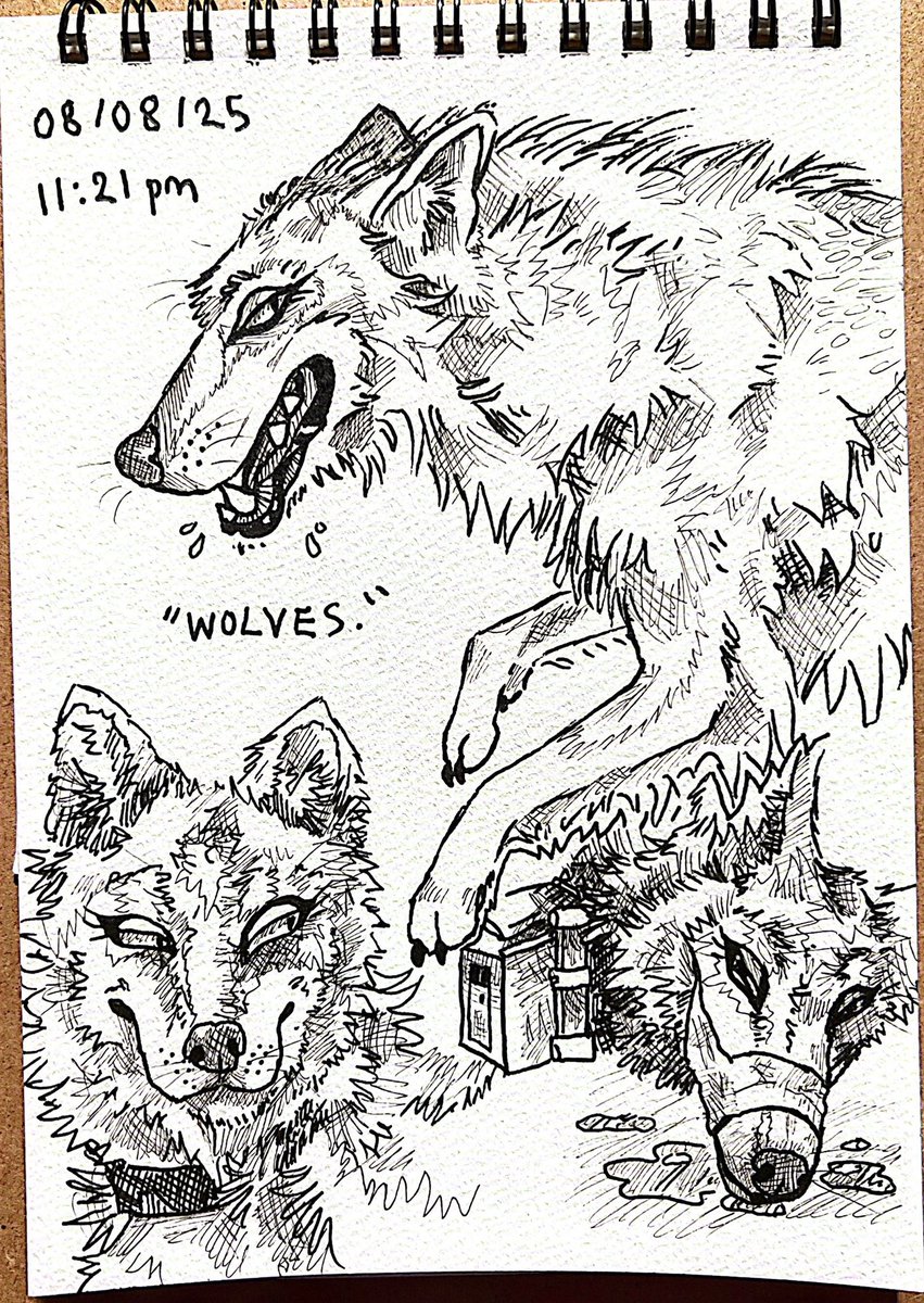 Yuri 🦊🇳🇿🖤🤍❤️ tweet media