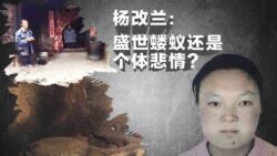 粪蛆、五毛狗们一直以为自己是杨兰兰！
暮然回首，才发现自己是杨改兰🤣!