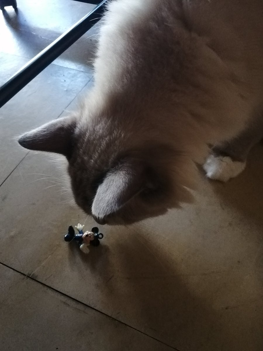 FENICE291 SECONDO れおん(猫)古着 アクセサリー 雑貨 CD 漫画 フィギュア (@secondoleon) on Twitter photo も~し!もし も~し!
大丈夫ですか~!
せんせ~い!
ミッキーせんせ~い! も~し!もし も~し!
大丈夫ですか~!
せんせ~い!
ミッキーせんせ~い!