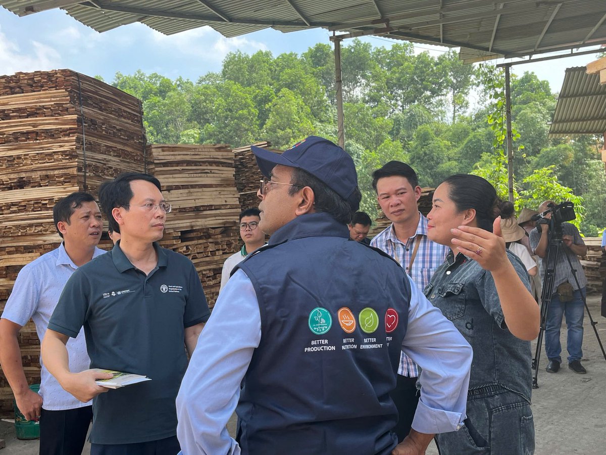 FAOVietNam's tweet photo. FAO Representative in 🇻🇳, Mr. Vinod Ahuja, discussed with Lao Cai PPC on strengthening #TyphoonYagi relief and long-term development through #ForestandFarmFacility.
Highlight was a visit to Binh Minh Coop - a successful model for #SustainableForestry and #CommunityDevelopment https://t.co/7HsVPU1wYm