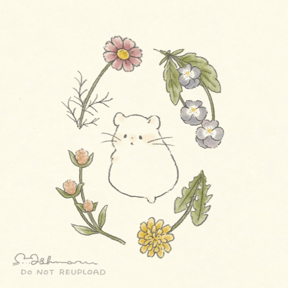 ましゅまる@プロフィール必読 ましゅまる (@shiromaro_963) / X