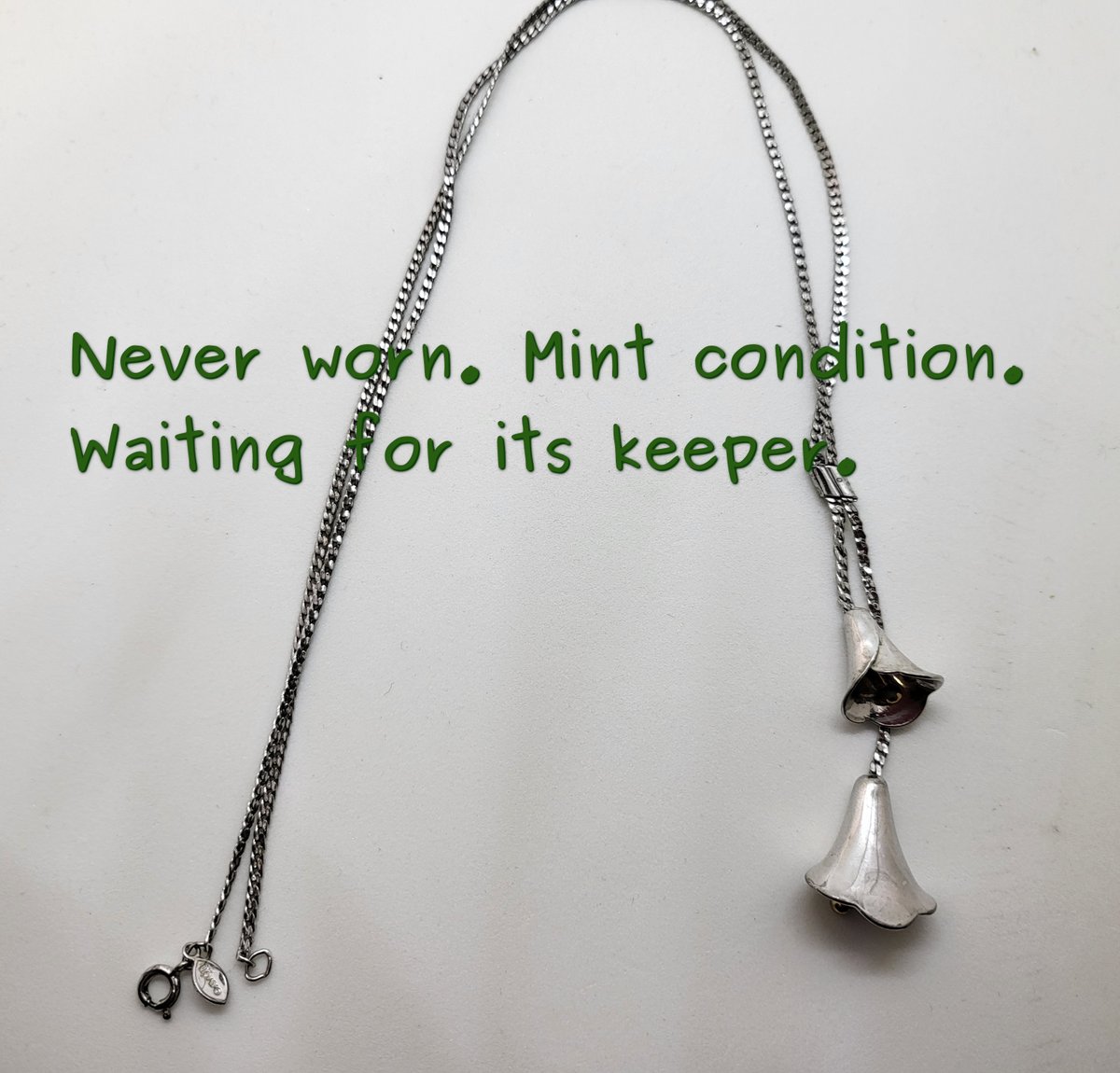 shadowconn's tweet image. Two lilies. One silver, one gold. A lariat that remembers the warmth of sunlit glass and the chill of a locked gate. ✨ The Vanished Garden – 1978 Calla Lily Lariat Necklace Mint condition. Never worn.  #VelvetteLibrary #VanishedGarden #VintageFinds payhip.com/b/u65TD