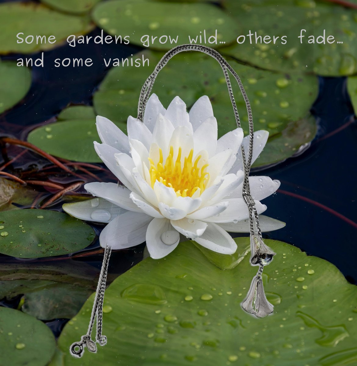 shadowconn's tweet image. Two lilies. One silver, one gold. A lariat that remembers the warmth of sunlit glass and the chill of a locked gate. ✨ The Vanished Garden – 1978 Calla Lily Lariat Necklace Mint condition. Never worn.  #VelvetteLibrary #VanishedGarden #VintageFinds payhip.com/b/u65TD