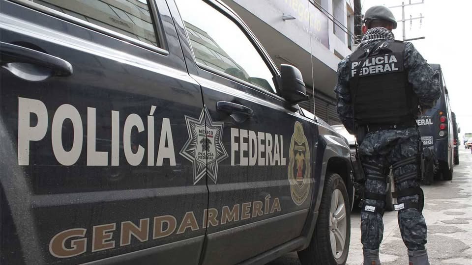 NOISVALA's tweet image. Cae #integrante de “Los Metros” ligado al #Asesinato del delegado de la #FGR en #Tamaulipas
reflexion24informativo.com.mx/cae-integrante…
#reflexion24informativo #seguridad #Tamaulipas #detencion #investigaciones #policia