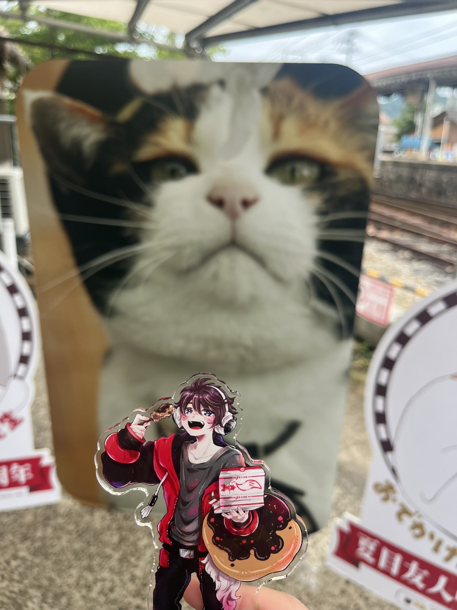 【ねこむー】 youth-9forty-a-frame-archive-