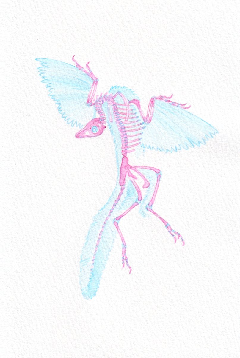 しんいちろー🦖お絵描き (@shin_ichirodino) on Twitter photo 