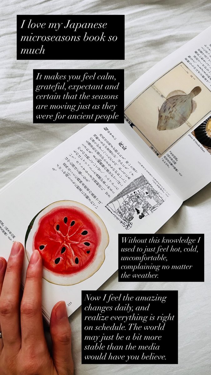 JUURI (従理) tweet media