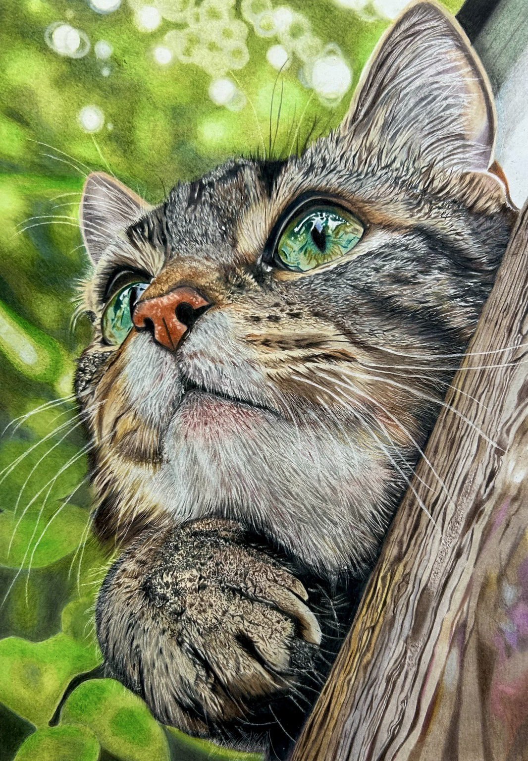 色鉛筆画　☻002☻ページ 色鉛筆画 似顔絵a4サイズ10000円〜 イラスト LIL'SAKI 通販