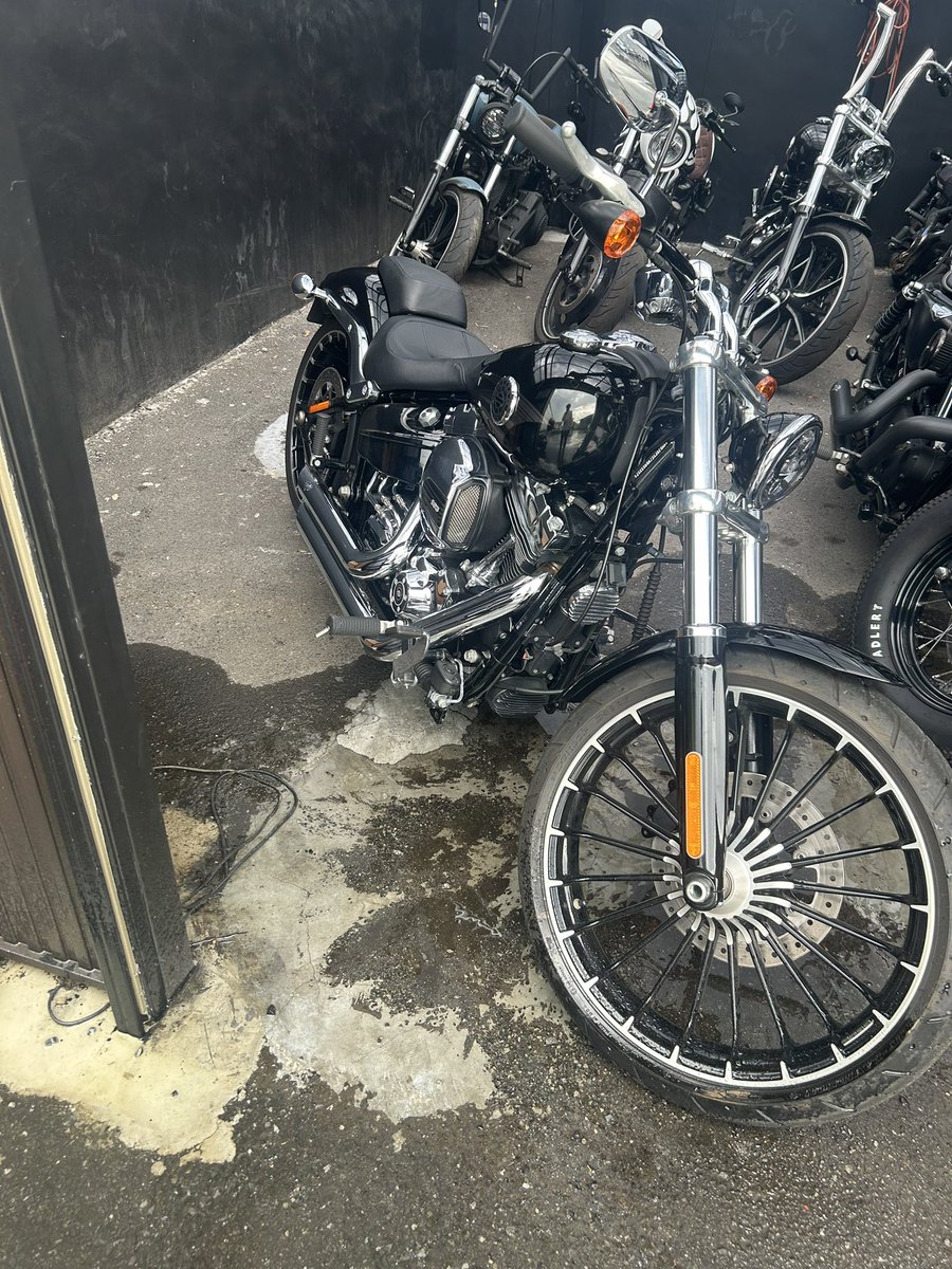 にみ🐈とニートジョー (@JYO209) / Posts / X