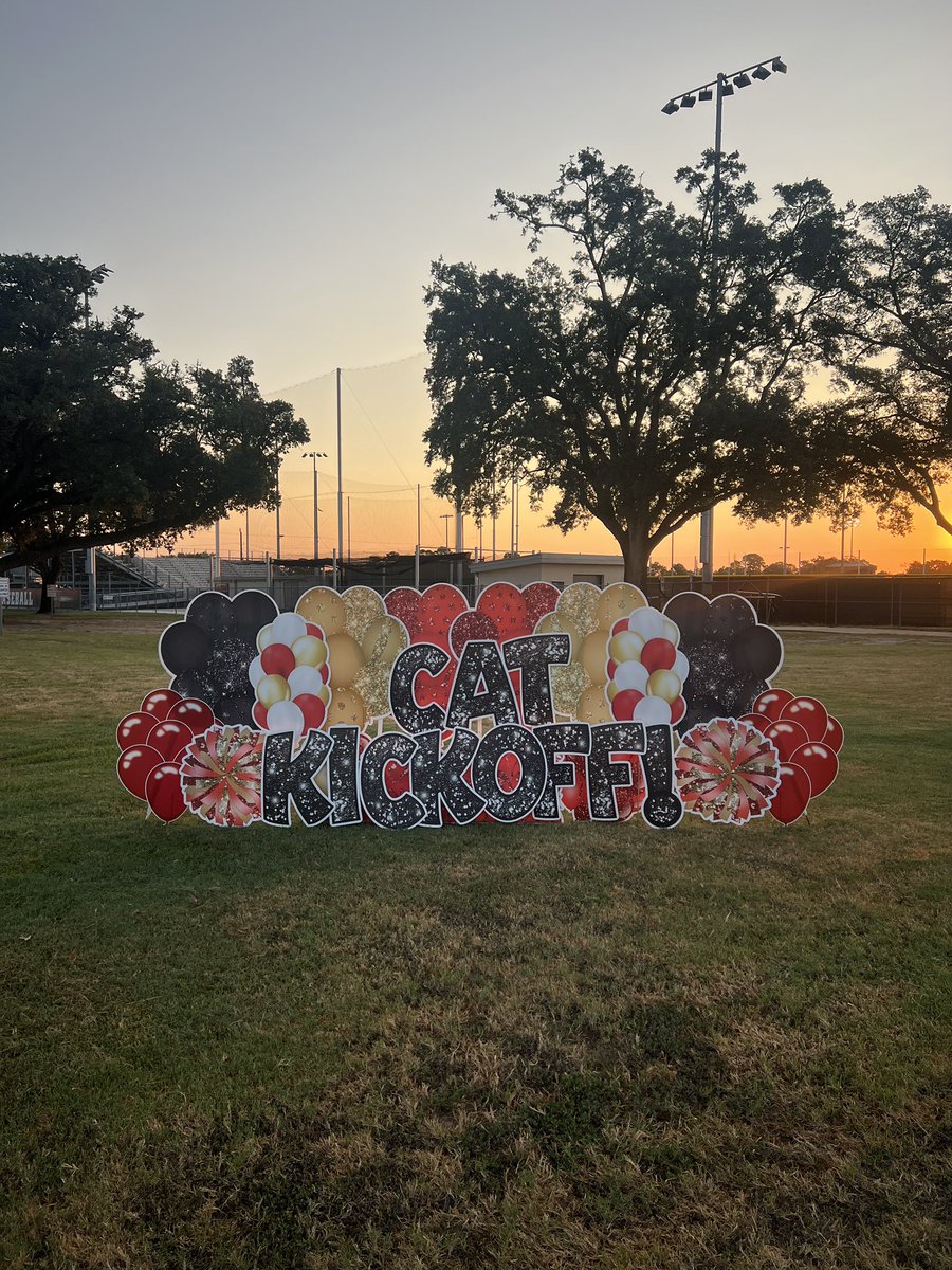 Alex Villarreal tweet media