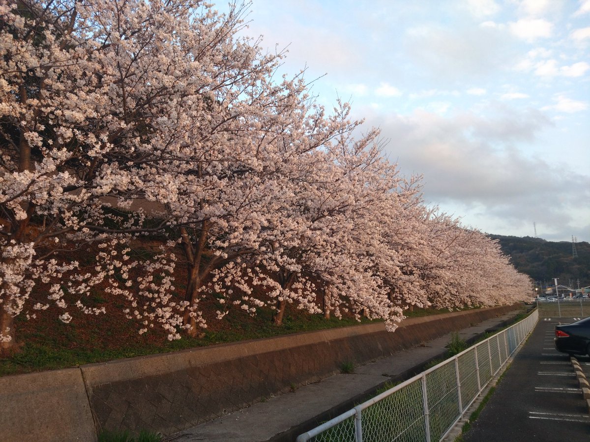 渡り (@watariarukumono) / Posts / X