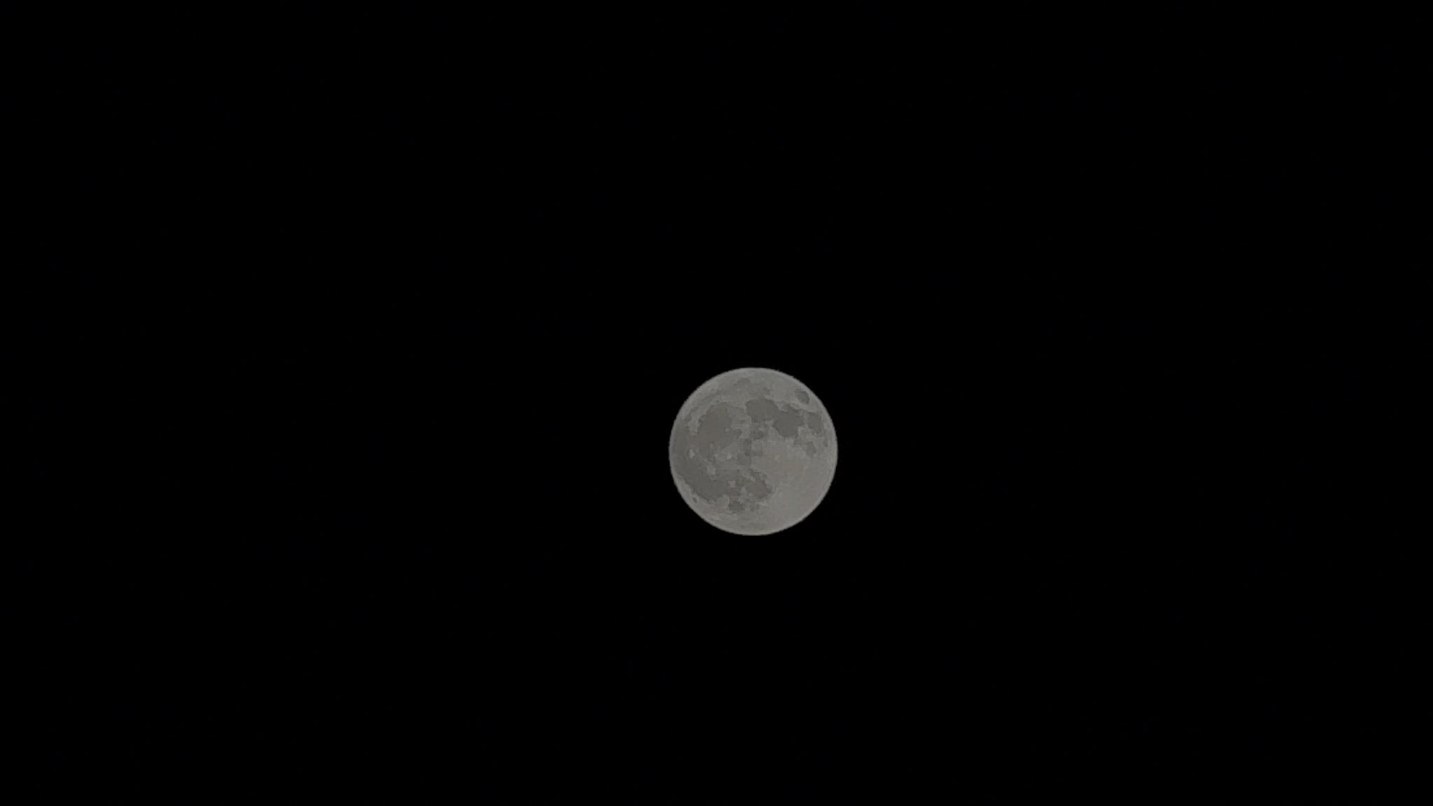 moon☺︎ Digital White — 180Decals