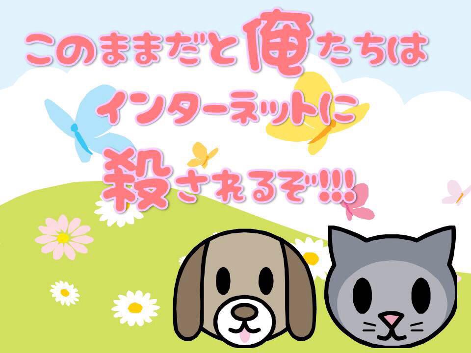 OIS (@ois10) on Twitter photo 