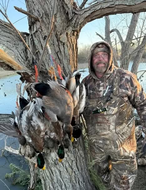 Asher Watkins, amerykański milioner i zapalony myśliwy zginął w wyniku ataku przez bawoła afrykańskiego podczas polowania w Limpopo w RPA. Do tragedii doszło 3 sierpnia 2025 roku, gdy śledził ogromnego samca w rezerwacie Bambisana.  Zwierzę zaatakowało niespodziewanie. Watkinsowi