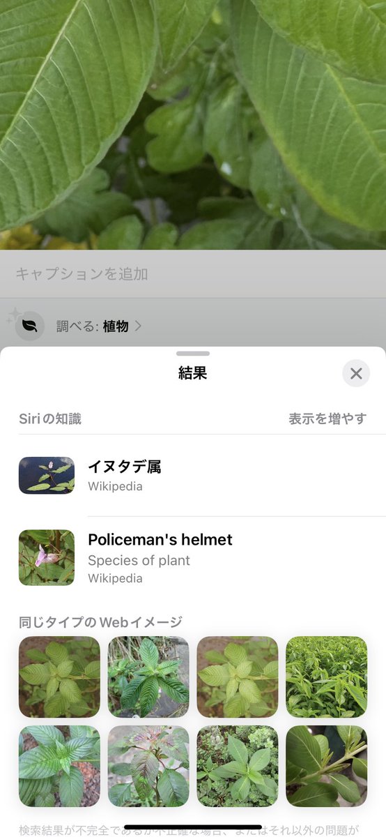 ★aki★ tweet media