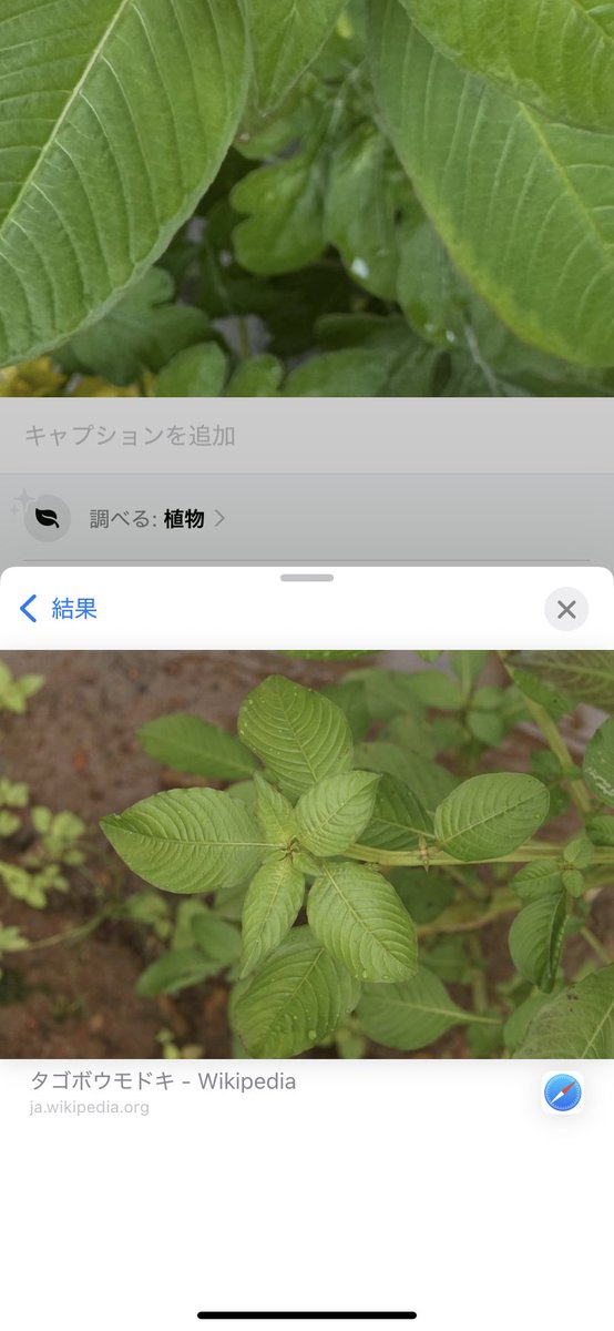 ★aki★ tweet media