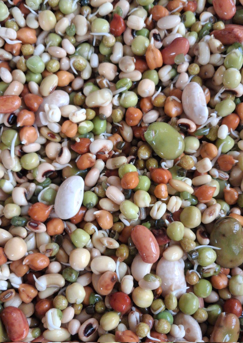 What do you call this in your local language?