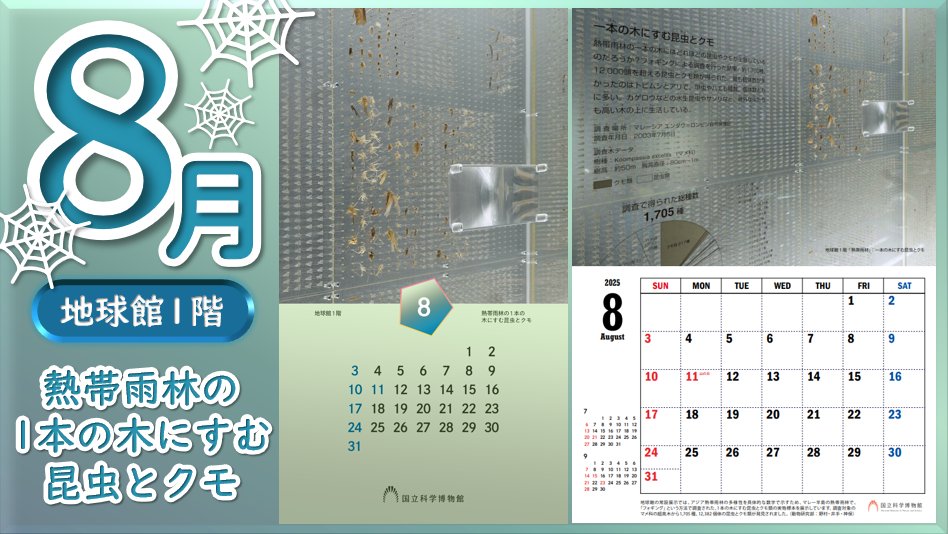◤ ◥ #国立科学博物館 2025年オリジナルカレンダー << 無料配布