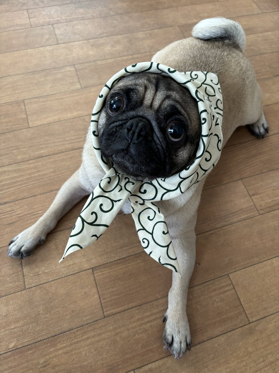 み〜やん☆彡 (@0618Miiyan) / Posts / X