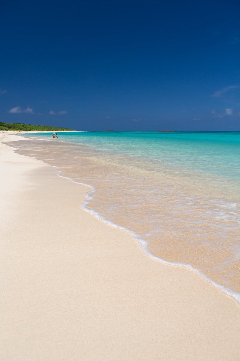 波照間島ニシハマの砂浜が赤っぽいのは
有孔虫の殻..つまり星の砂

「星の砂浜」と書かれた浜では有孔虫が少ないにも関わらず観光客は皆星の砂を探しているけど..星の砂だらけにも関わらず「星の砂浜」と書かれていない浜では誰1人探していない

砂浜が赤っぽければ星の砂は簡単に大量にみつけられる