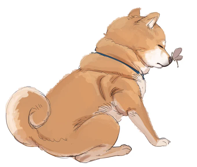 zzz