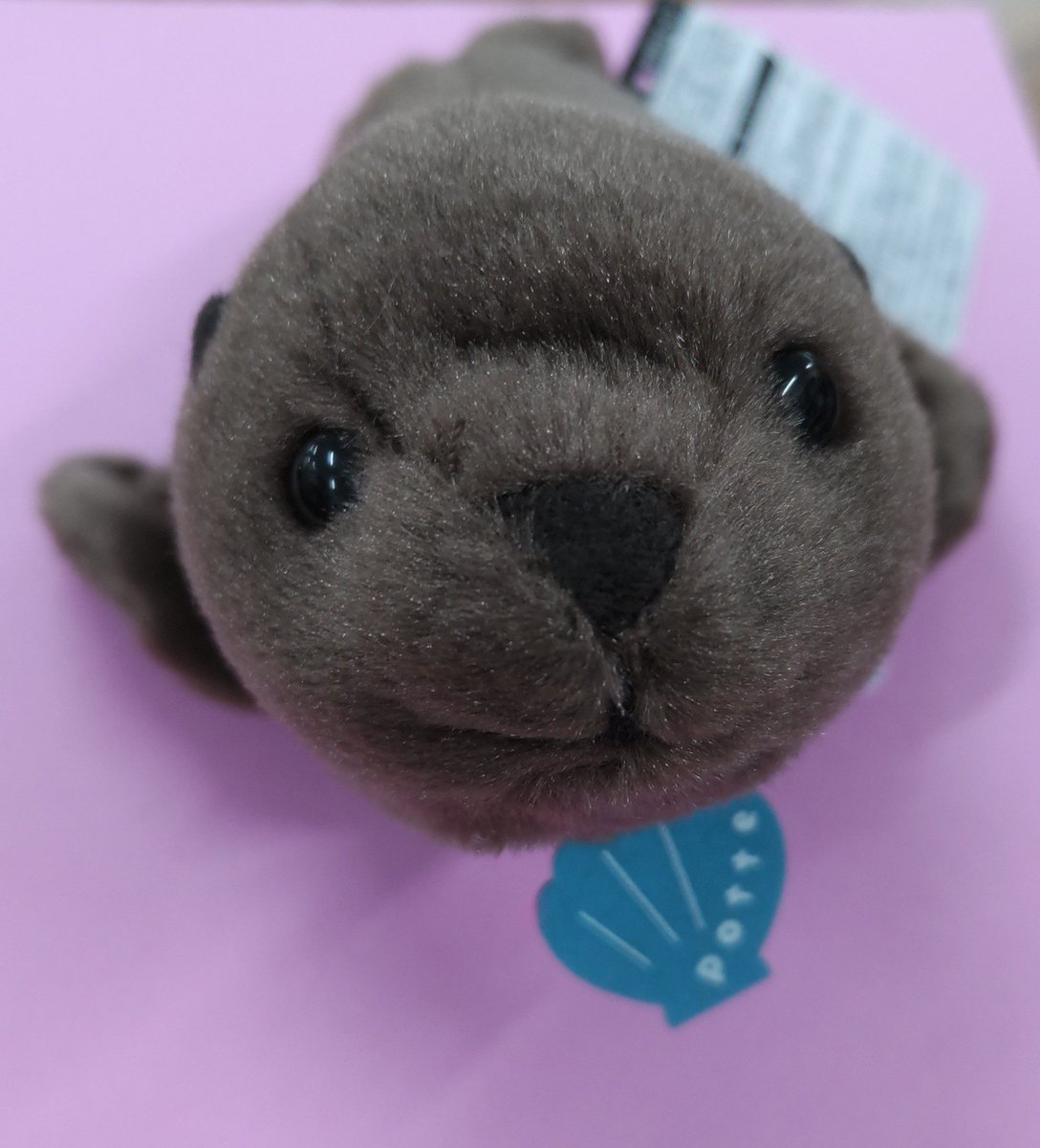 またやり過ぎました！やばうその生みの親、アヤコさん監修のオタリアの