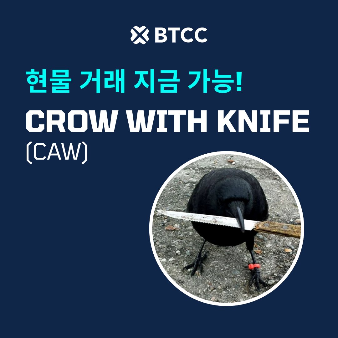 BTCC_KR tweet media