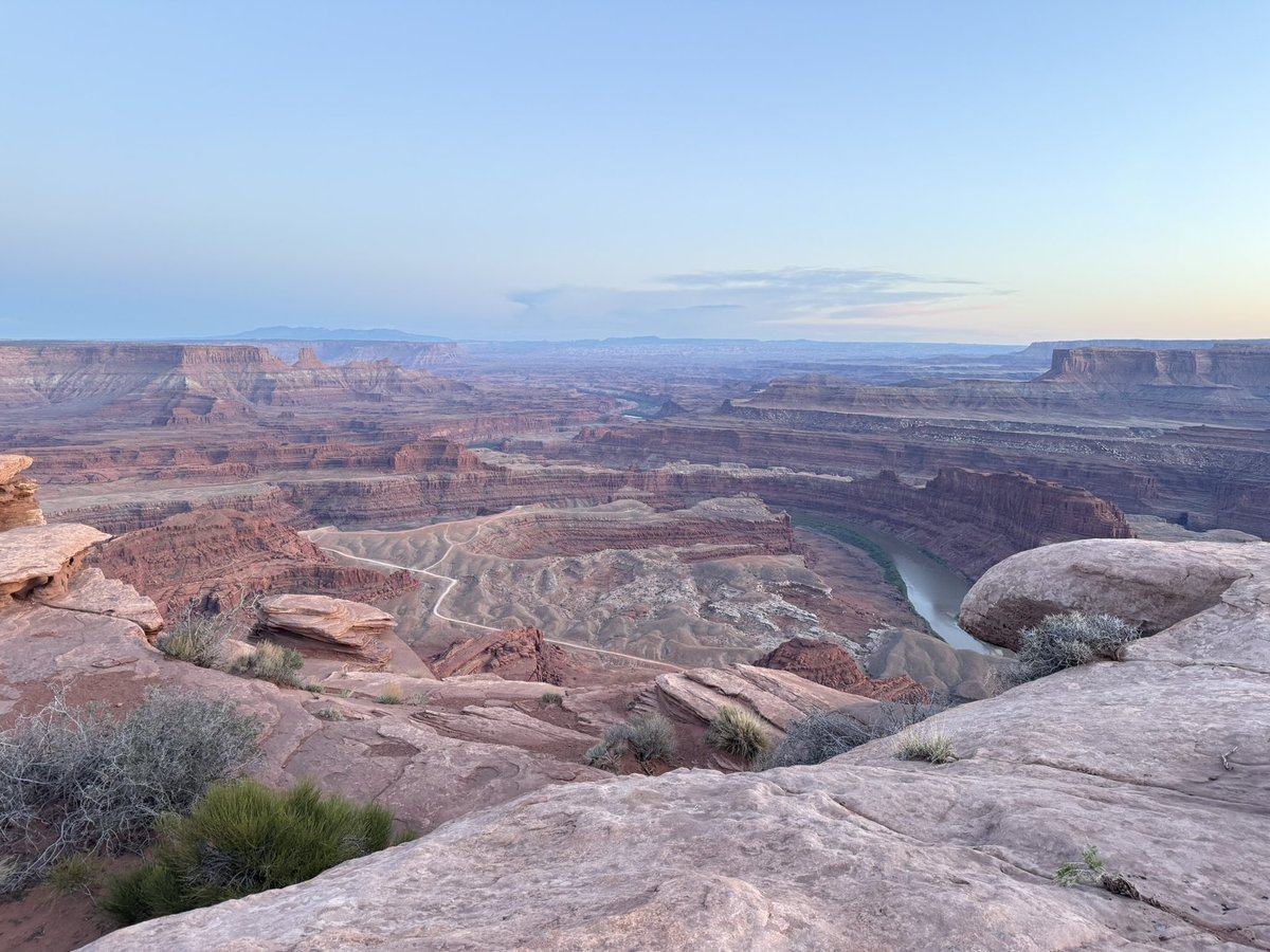 Ayumi Fukuda Bennett | Information Illustration tweet media