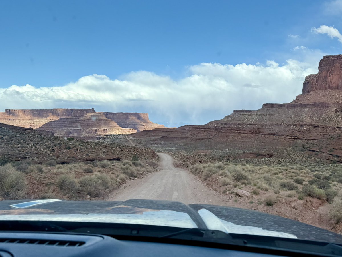 Ayumi Fukuda Bennett | Information Illustration tweet media